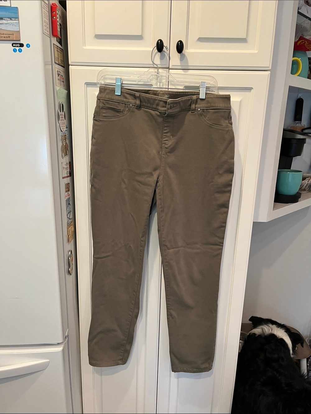 Chicos Pull-On Green Slacks size 2=12/14